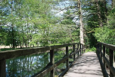 Kleine Holzbrücke am Mühlengraben