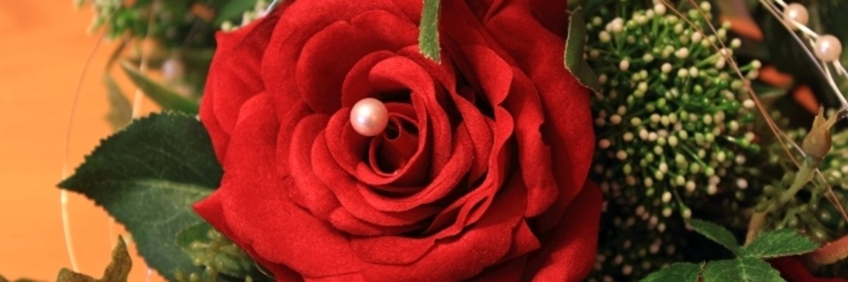 Dekoration im Trauzimmer. Rose rot.