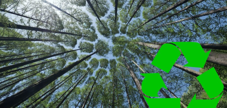 Bäume die in den Himmel wachsen, davor ein Recycling-Symbol