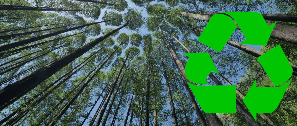 Baumspitzen vom Boden aus fotografiert, rechts unten ein Recyclinsymbol